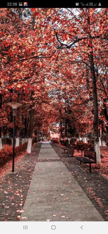 Gamsakhurdia Street بورجومي المظهر الخارجي الصورة