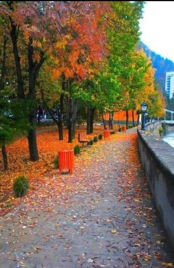 Gamsakhurdia Street بورجومي المظهر الخارجي الصورة