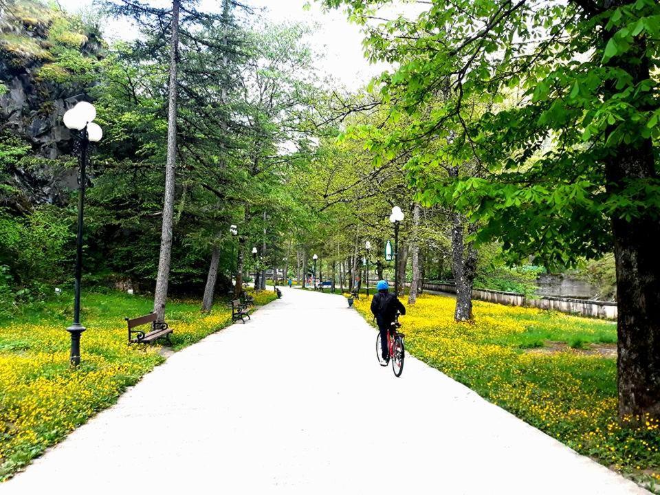 Gamsakhurdia Street بورجومي المظهر الخارجي الصورة