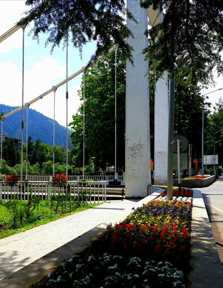 Gamsakhurdia Street بورجومي المظهر الخارجي الصورة